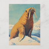 Walrus Vintag Postkarte (Vorderseite)