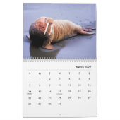 Walrus Wall Calendar Kalender (Mär 2027)