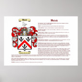 Walsh (Bedeutung) Poster (Vorne)