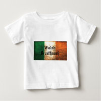 Walsh Irische Flagge