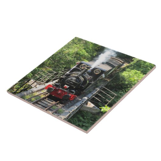 Walsh Steam Train. Fliese (Seite)
