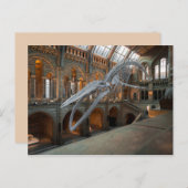 Walskelettkarte Postkarte (Vorne/Hinten)