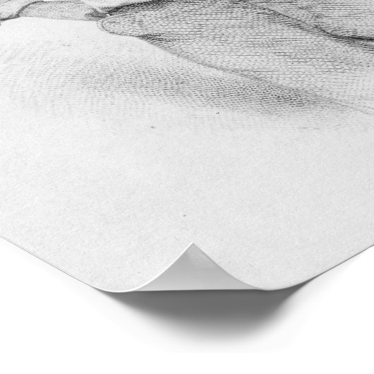 Walt Whitman, frontispiece to 'Blätter of Poster (Ecke)