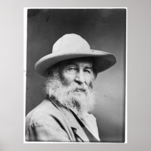 Walt Whitman Portrait alias The Quaker Foto Poster