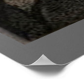 Walt Whitman - Portrait Poster (Ecke)