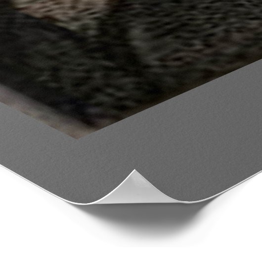 Walt Whitman - Portrait Poster (Ecke)