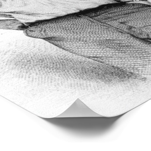 Walt Whitman Poster (Ecke)