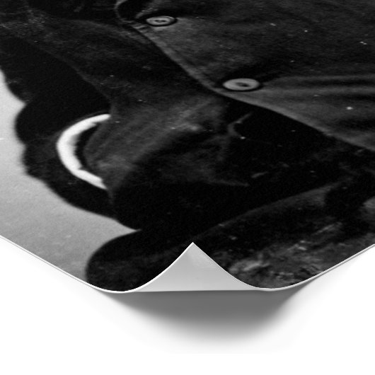 Walt Whitman Poster (Ecke)