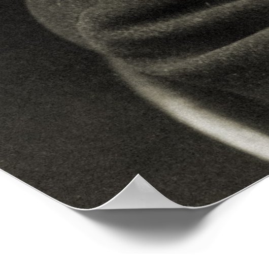 Walt Whitman Poster (Ecke)