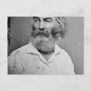 Walt Whitman Postkarte