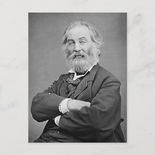 Walt Whitman sitzt Portrait Fotograf Alter 47 Postkarte (Vorderseite)