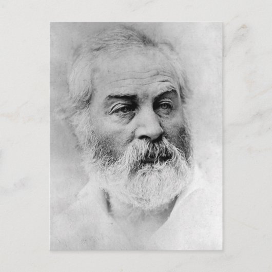 Walt Whitman Zivil War Years Age 44 Postkarte (Vorderseite)