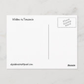 Walter: Bier, Cig, Kamera, Postkarte (Rückseite)