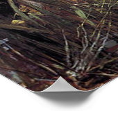 WALTER CRANE POSTER (Ecke)