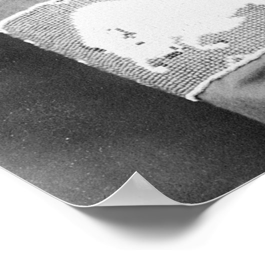 Walter Iron Muschel: 1911 Poster (Ecke)