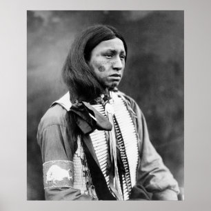 Walter Iron Muschel: 1911 Poster