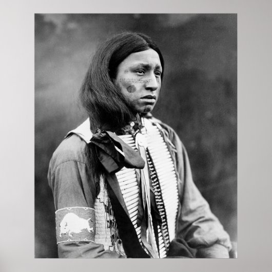 Walter Iron Muschel: 1911 Poster (Vorne)