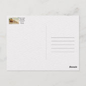 Walter Martin Baumhofer, er würde nicht Ja sagen Postkarte (Rückseite)