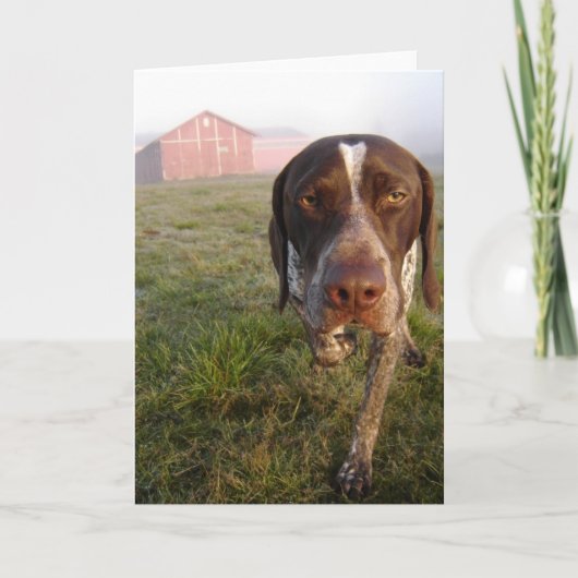 Walter-Scheune Notecard Karte (Vorderseite)