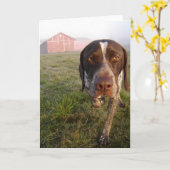 Walter-Scheune Notecard Karte (Gelbe Blume)