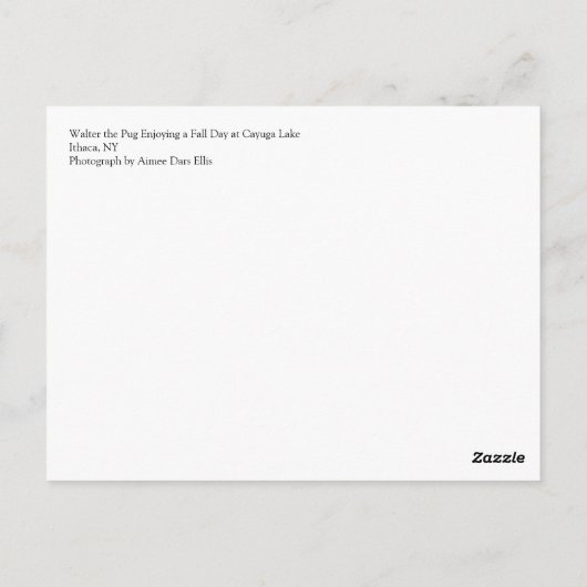 Walter the Pug Postkarte (Rückseite)