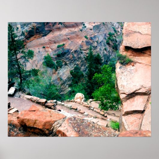 Walters Wiggles Zion National Park Utah Poster (Vorne)