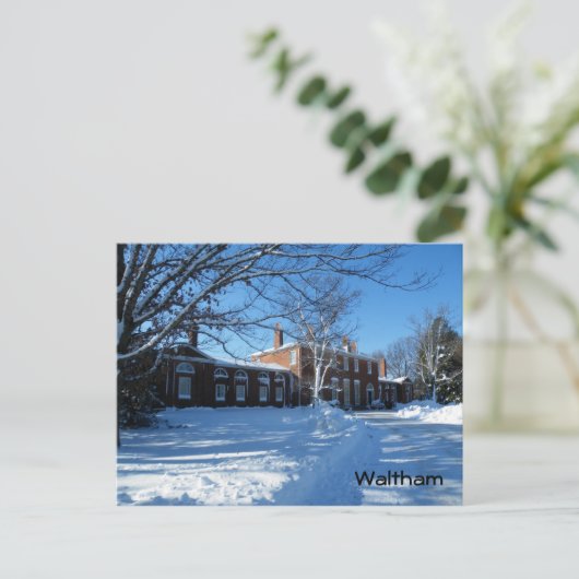 Waltham Postkarte (Stehend Vorderseite)