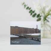 Waltham Postkarte (Stehend Vorderseite)