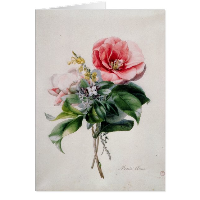 wamellia und Besen (Vorne)