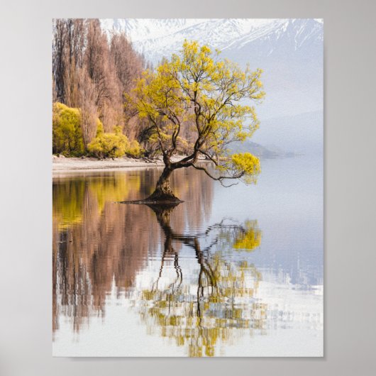 Wanaka Tree Herbst Landschaft Poster (Vorne)