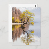 Wanaka Tree Herbst Landschaft Postkarte (Vorne/Hinten)