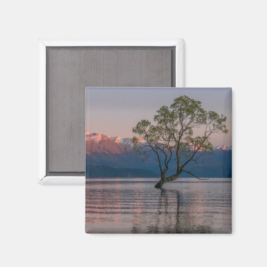 Wanaka Tree, Neuseeland Magnet (Vorderseite/Rückseite)
