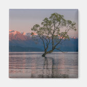Wanaka Tree, Neuseeland Magnet (Vorne)