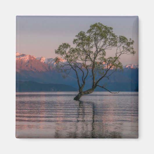 Wanaka Tree, Neuseeland Magnet (Vorne)