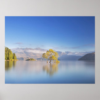 Wanaka Tree New Zealand Landschaftsfotografie Poster