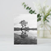 Wanaka Tree New Zealand Landschaftsfotografie Postkarte (Stehend Vorderseite)