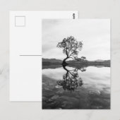 Wanaka Tree New Zealand Landschaftsfotografie Postkarte (Vorne/Hinten)