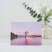 Wanaka Tree Sunrise Nature Travel Fotografy Postkarte (Stehend Vorderseite)