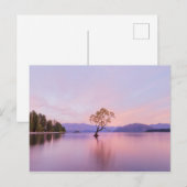 Wanaka Tree Sunrise Nature Travel Fotografy Postkarte (Vorne/Hinten)