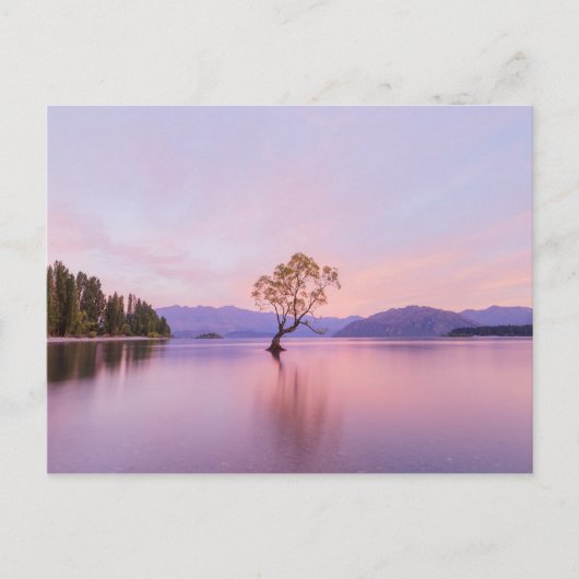 Wanaka Tree Sunrise Nature Travel Fotografy Postkarte (Vorderseite)