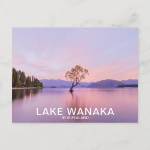 Wanaka Tree Sunrise Nature Travel Postkarte