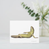 Wand-Eidechse liegend - Podarcis muralis Postkarte (Stehend Vorderseite)