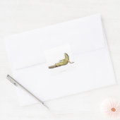 Wand-Eidechse liegend - Podarcis muralis Quadratischer Aufkleber (Umschlag)