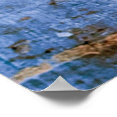 Wand gemalt Graffiti devanagari Poster (Ecke)