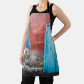 Wand, Tür und Fenster sind rot, blau und grau Schürze (InSitu)