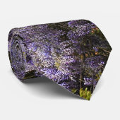 Wand von Glyzinien Krawatte (Gerollt)