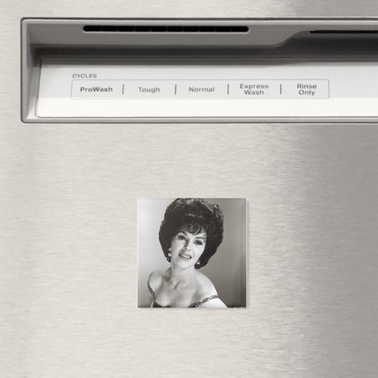 Wanda Magnet (In Situ (Geschirrspüler))