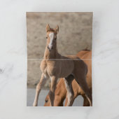 Wanda the Wild Filly Wild Horse Greeting Card Karte (Innenseite)