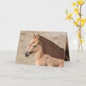Wanda the Wild Filly Wild Horse Greeting Card Karte (Gelbe Blume)