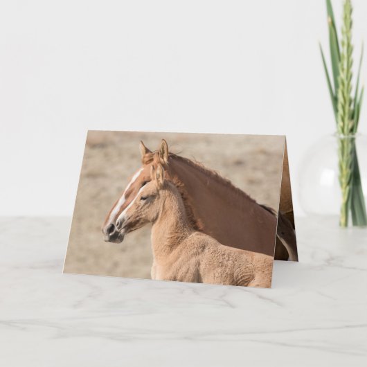 Wanda the Wild Filly Wild Horse Greeting Card Karte (Vorderseite)